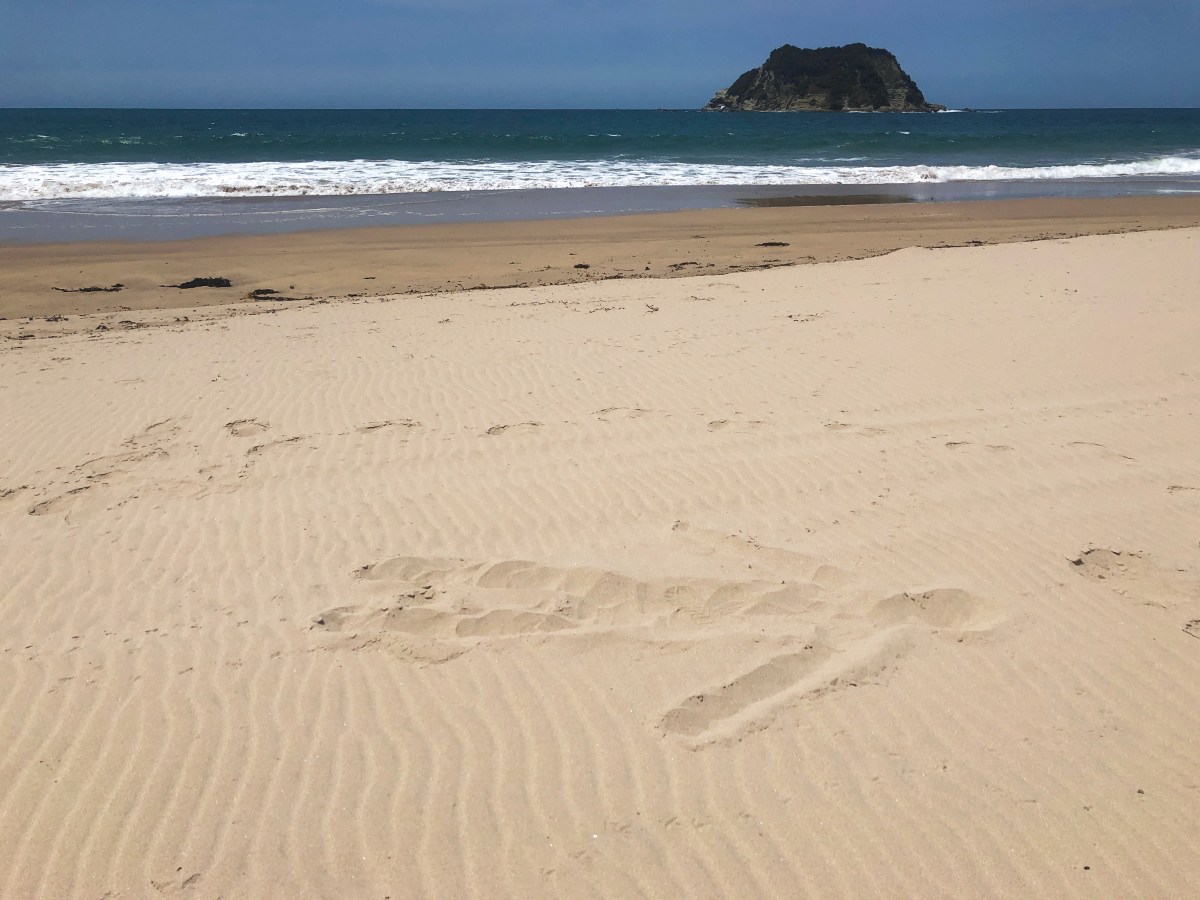 Silueto – The Nuhiti&nbsp;Interventions