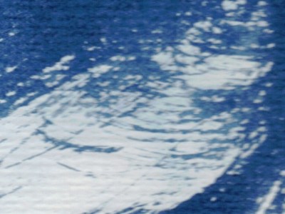 Fowlers Gap: Cyanotypes